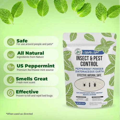 Control Insectos Y Plagas De Menta De Tierra De Diatomeas