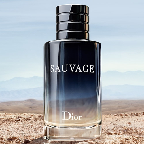 Perfume Dior Sauvage Tradicional Edt 200ml Masculino