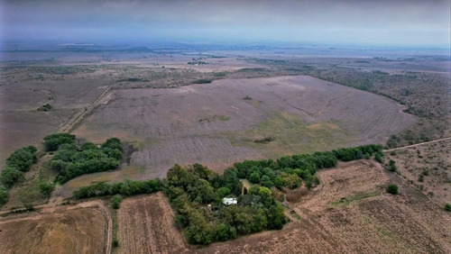 Campo Agricola Ganadero En Venta Berrotaran Cordob