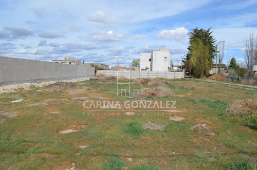 Imagen 5 de 16 de Venta Terreno 996m2 Apto Desarrollo Confluencia Rural Neuquén