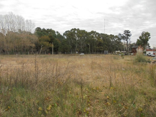 Terreno En Venta En San Bernardo