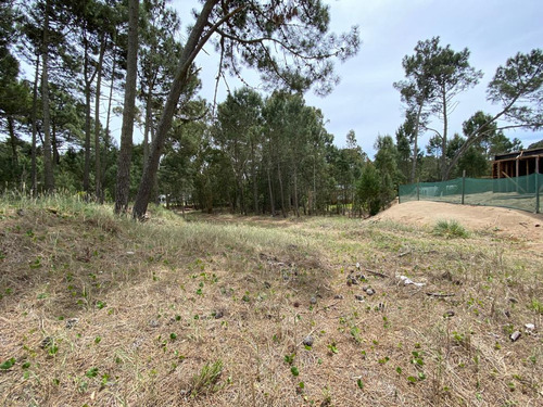 Lote En Venta Zona Alamos (tres Carabelas E/ Garzas Y Calandria)
