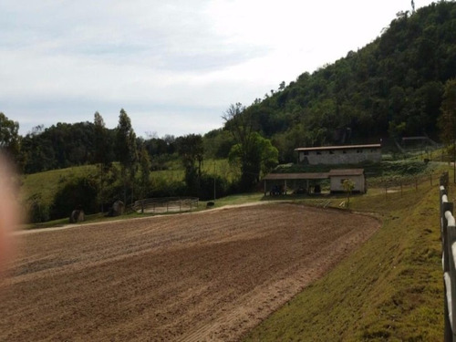 Imagem 12 de 20 de Haras À Venda, 77000 M² Por R$ 1.710.000,00 - Castelo Branco - Sorocaba/sp - Ha0001 - 67639931