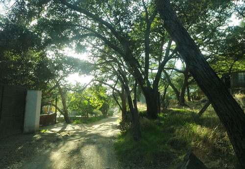 En Venta Terreno De 2500 Mts Opcion A 1 Hectarea En San Antonio De Las Minas, Prop. Privada, Rustico, En Loma Vista, Ruta Vino