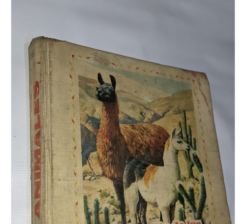 Enciclopedia De Los Animales  Fabulandia  Editorial Codex.