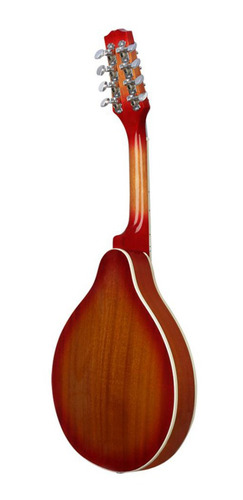 Imagen 4 de 9 de Un Mandolina Eléctrica Spruce Instrumentos Musicales