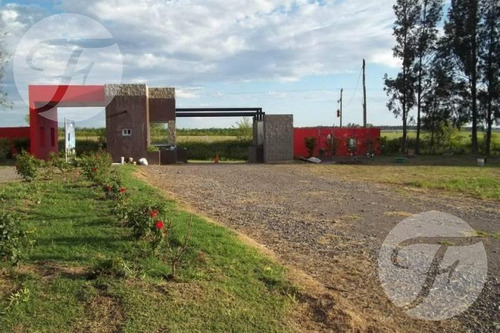Imagen 28 de 30 de Disponibilidad Inmediata