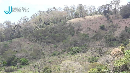 Imagem 7 de 30 de Chácara À Venda, 250000 M² Por R$ 1.199.000,00 - Botuquera - Guararema/sp - Ch0003