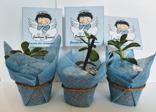 Imagen 3 de 7 de Recuerdos Bautizo 30 Plantas Suculentas Decoradas