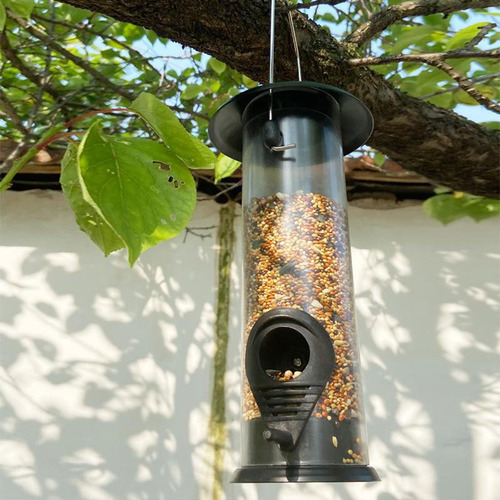 Comederos Para Aves, Comederos Para Aves Salvajes, Comederos