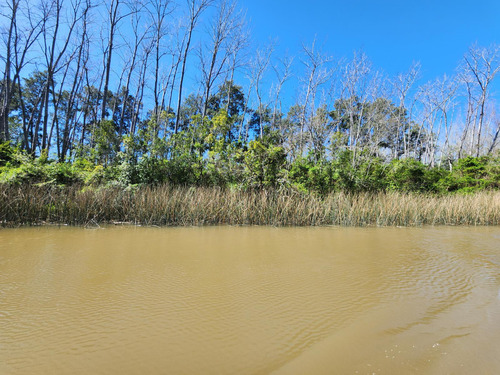 Terreno En  Venta En Delta Tigre