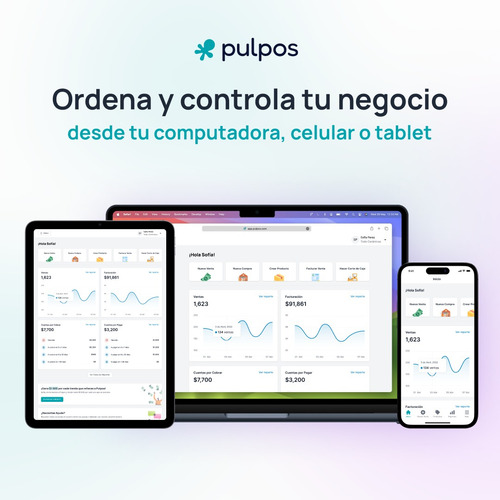 Sistema Punto De Venta Pulpos - Plan Inicial Licencia 1 Año