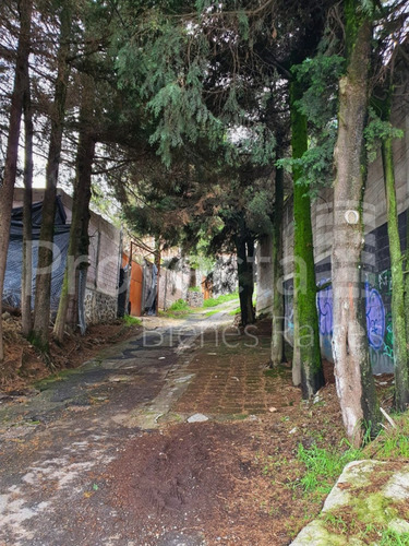 Bodega En Venta/renta En Picacho Ajusco, Tlalpan