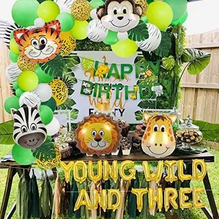 Tema De La Selva 3rd Decoraciones De Cumpleaños Safari Gallo