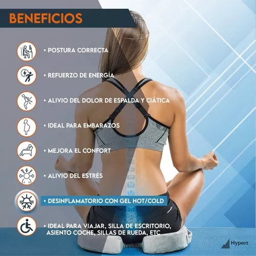 Cojín De Asiento Para Apoyo Lumbar Color Gris