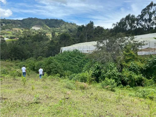 Vendo Lote En Guarne Vereda Yolombal 7485 M2