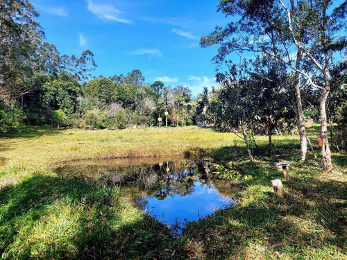 Imagem 13 de 20 de Chácara Em São Lourenço Com Lago Riacho 20.000 M² Ótimo Acesso
