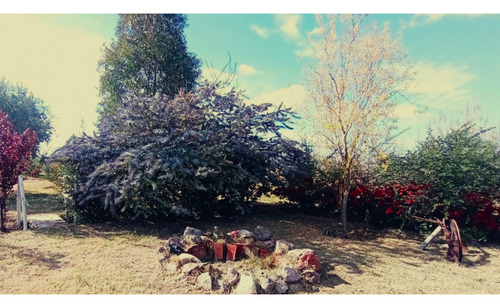 Interesante Y Hermosa Finca Productiva En Venta