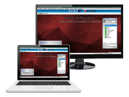 Sistema Controle De Protocolos Com Instalação E Treinamento