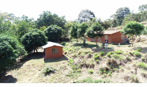 Imagen 30 de 30 de Finca Agrícola Santa Fe De Antioquia, Vereda El Tunal - Se Vende