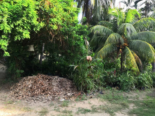 Imagen 2 de 5 de Venta Terreno 1599m2 Acapulco Diamante (castelli)