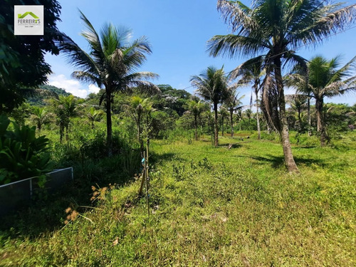Imagem 25 de 30 de Sítio A Venda . - 830-1