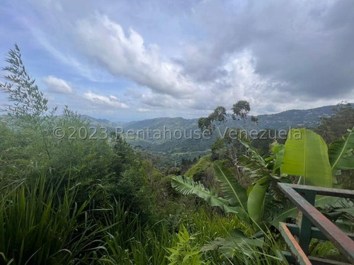 Terreno En Venta Monte Elena Es24-5378
