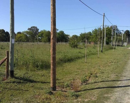 Imagen 2 de 6 de Terrenos Con Escritura En Domselaar