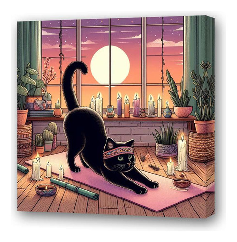 Cuadro 60x60cm Gato En Casa Haciendo Yoga Relajado