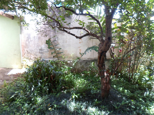 Imagem 13 de 22 de Vila Madalena - Otimo Terreno - Reo467885
