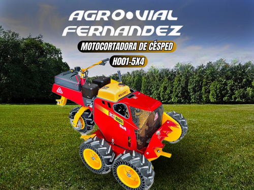 Motocortadora De Césped, Malezas Y Arbustos 5x4 Motor B&s Am