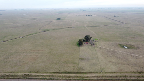 Imagen 21 de 22 de Campo Ganadero En Roque Perez Muy Bien Ubicado
