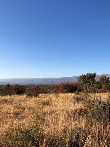 Imagen 8 de 13 de Lote En Barrio Los Olivares De Los Hornillos / Traslasierra Con Escritura