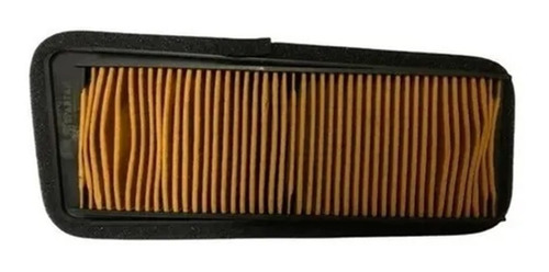 Filtro De Aire Hero Xpulse 200 T / Fi