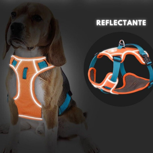 Pechera Arnés Reforzada Ajustable Para Perro Mediano Grande