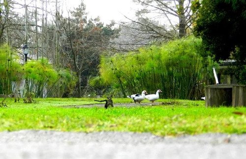 Imagen 22 de 24 de Fincas Del Lago Hermoso Lote