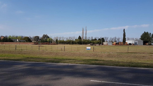 Imagen 4 de 5 de Terreno - Arequito