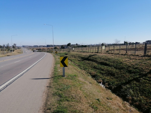 Imagen 9 de 12 de Chacra 1.5 Hectarea En Venta - 75 Metros De Frente A La Ruta 102 Km 38.500