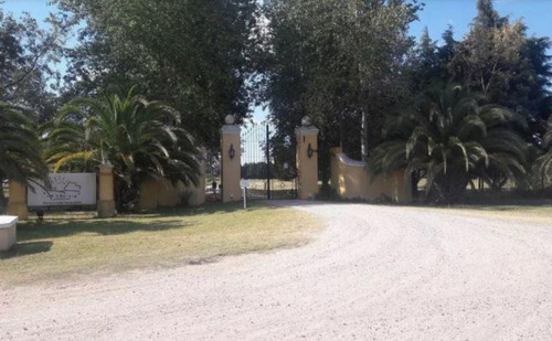 Imagen 6 de 7 de Hermoso Lote En Venta En Barrio La Cecilia, Lujan