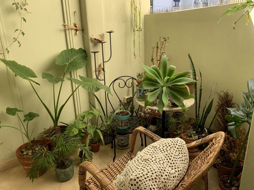Imagen 7 de 18 de Venta 4/5 Ambientes, Cochera, Baulera Belgrano