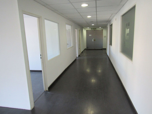Imagen 4 de 18 de Alquiler Oficina 232 M2