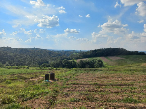 Imagem 6 de 21 de 03o- Inacreditável Terreno Em Uma Cidade Boa Pra Você