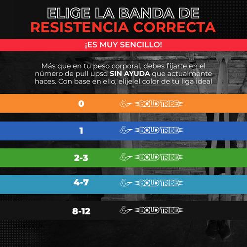 Master Pack 4 Ligas Bandas Resistencia Pull Ups Crossfit Con 9 Bonos Calistenia Mma Box Elasticas Ejercicio Tapout