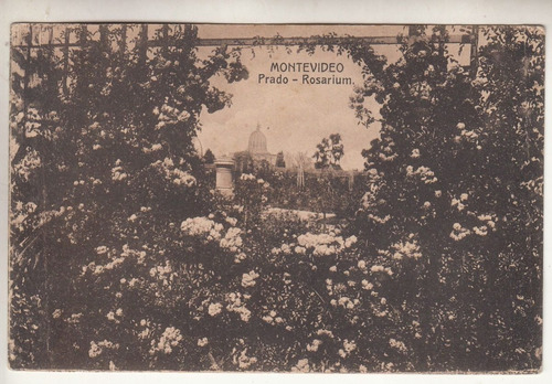 Antigua Postal Rosarium Del Prado De Montevideo Vintage 