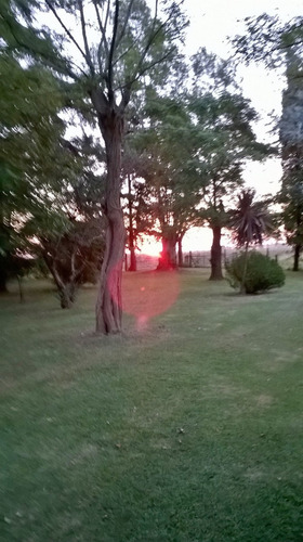 Imagen 8 de 24 de Vendo Casa De Campo. 3 Has. Oportunidad!! En Brandsen A 90 Km. De Caba. Escritura Al Día. Planos De Las Construcciones. Dueño Directo
