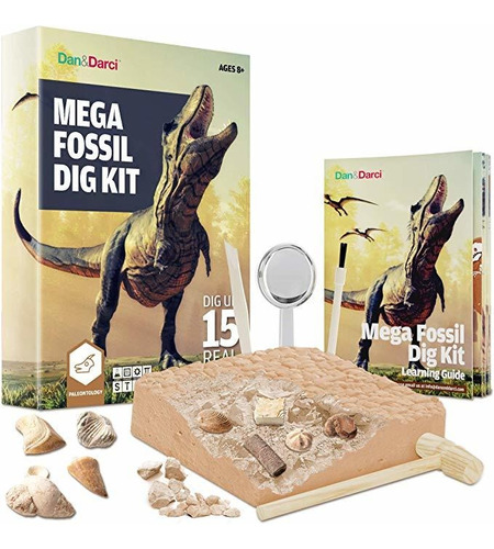 Mega Fossil Dig Kit  Dig Up 15 Fósiles Reales (huesos De In