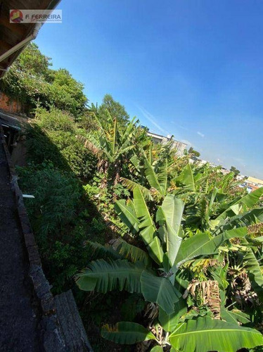 Imagem 6 de 27 de Chácara À Venda, 863 M² Por R$ 700.000,00 - Jardim Maria Rita - São Paulo/sp - Ch0083