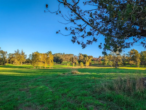 Parcelas En Frutillar, Bosques Y Praderas. Financiamiento 
