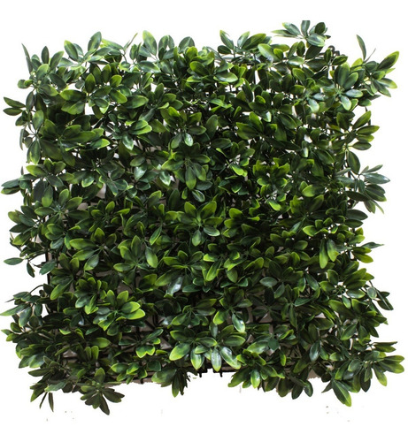 Follaje Muro Cesped Artificial Sintetico 50x50cm 1 Unidad