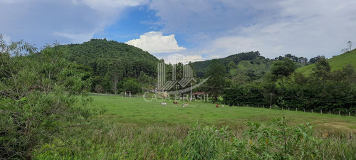 Imagem 9 de 13 de Linda Fazenda Em Silveiras - 27 Alqueiresn-aceita Permuta Até 50% Do Valor - 2070